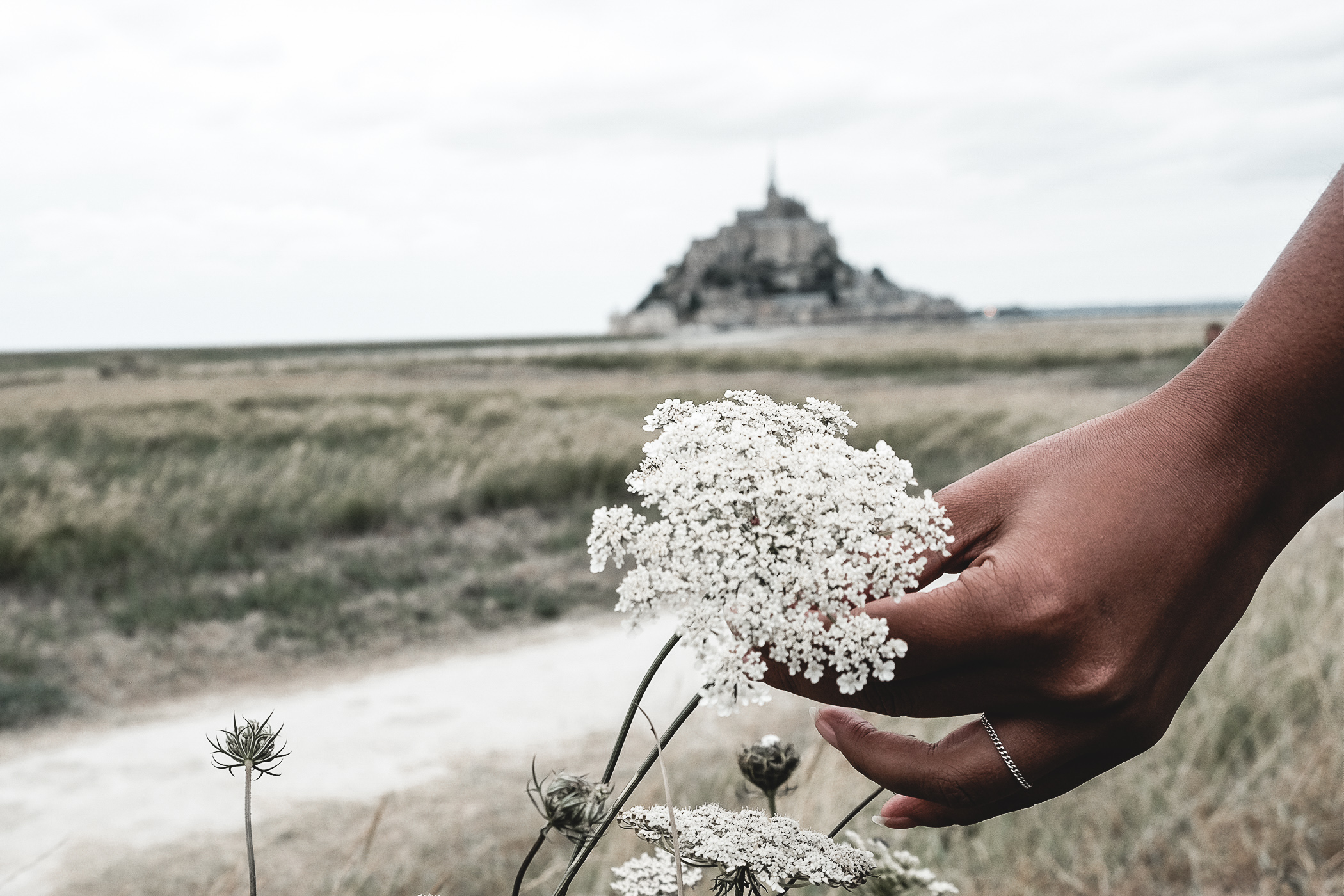 Mont saint Michel, Beautiful place in Normandy, French Casttle. Travel Blog post about a charming little trip